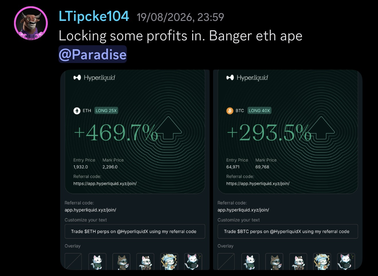 LTipcke104’s original trading results submission